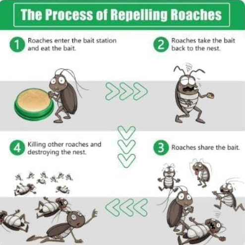 Roach Repellent Discs – Powerful Long-Lasting Cockroach Protection for Home & Kitchen